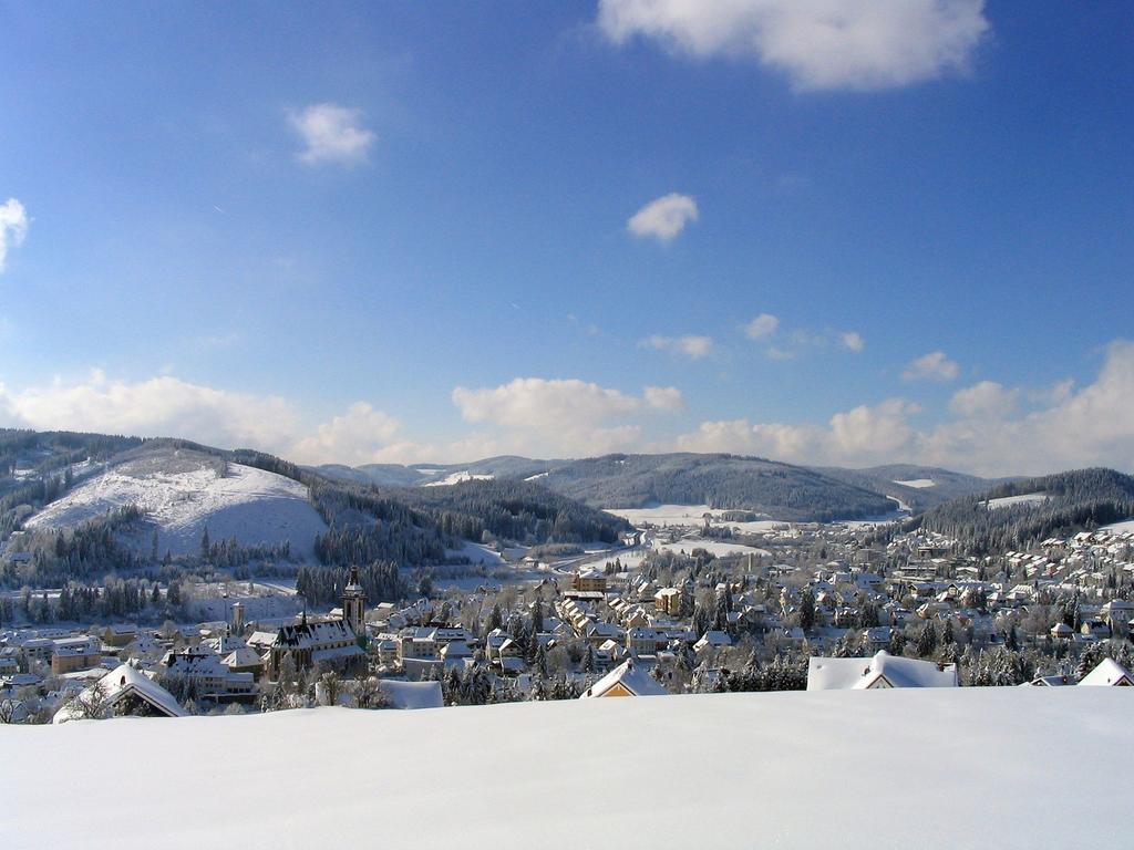 Ferienwohnung Am Eisweiher Titisee-Neustadt Exterior foto